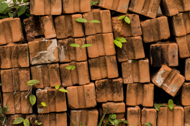 pianta di vite con foglie verdi su sfondo muro di mattoni rossi. - ivy brick wall vine foto e immagini stock