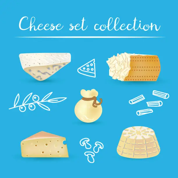 Vector illustration of Set collection of italian cheese.