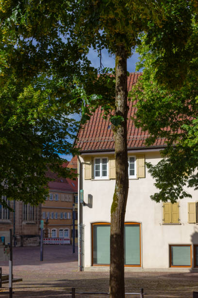 istock linden tree on church historical place 985852376