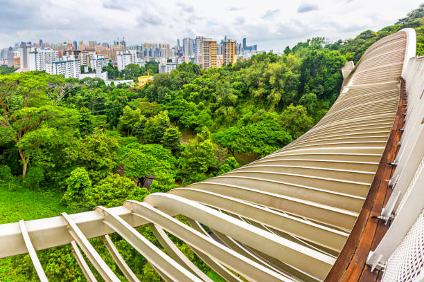 Landscape top view of Singapore Henderson Waves bridge Landscape top view of Singapore Henderson Waves bridge in Mount Faber rainforest. Henderson Waves is 274m long pedestrian bridge. It connects Mount Faber Park and Telok Blangah Hill Park. henderson waves stock pictures, royalty-free photos & images