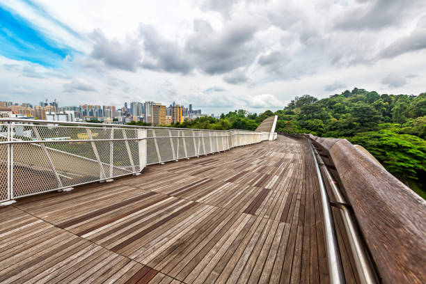 Landscape top view of Singapore Henderson Waves bridge in Mount Faber rainforest. Henderson Waves is 274m long pedestrian bridge. It connects Mount Faber Park and Telok Blangah Hill Park.
