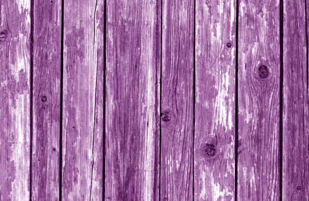 Old wooden fence pattern in purple color. Abstract background and texture for design.