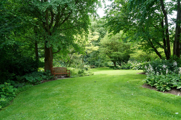 istock Public well maintained park in Germany 985860934