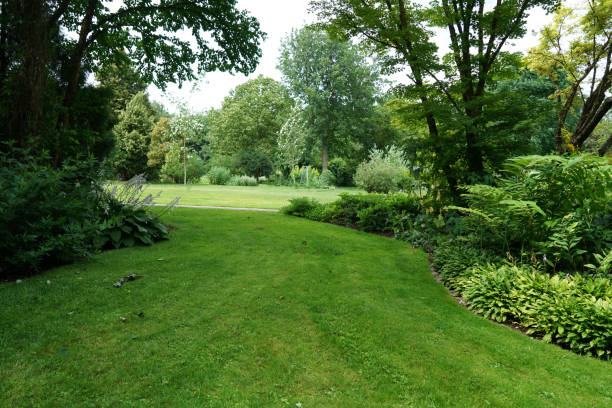 istock Public well maintained park in Germany 985863644