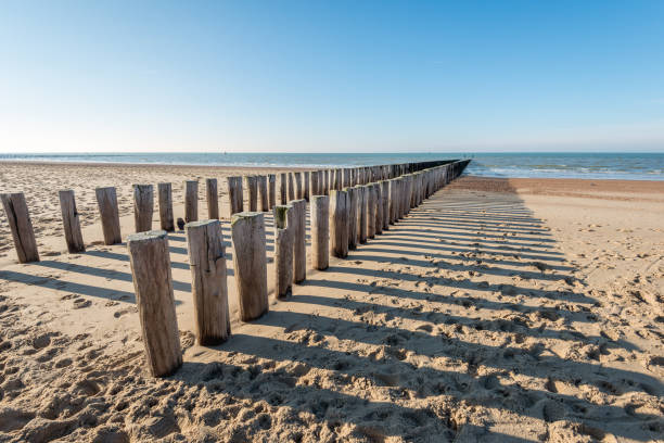 Breakwater made of a double row of wooden poles Dutch sandy North Sea beach with a breakwater made of a double row of wooden poles. The image was taken at Dishoek on the former island Walcheren on a sunny day in the winter season. groyne photos stock pictures, royalty-free photos & images