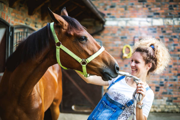 istock There is a bond between horse and rider 985865622