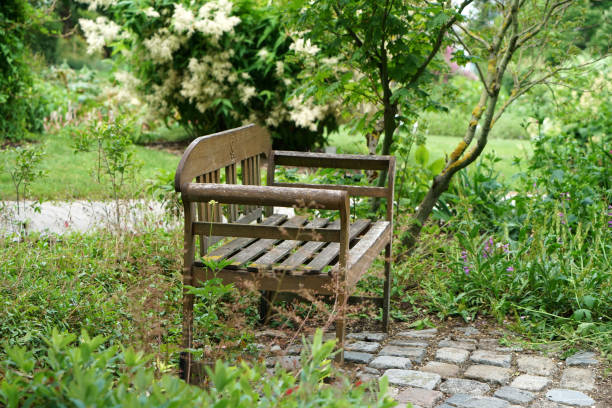 istock Public well maintained park in Germany 985865902