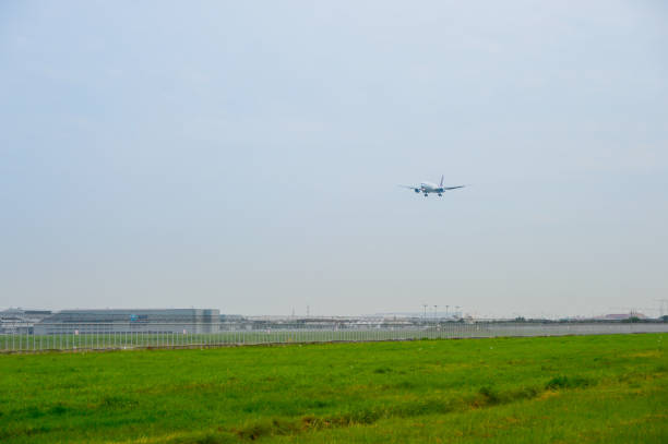 Thai Airways Plane(Boeing 777) landing to runways at suvarnabhumi international airport in Bangkok ,Thailand. Bangkok, Thailand - July 30, 2017: Thai Airways Plane(Boeing 777) landing to runways at suvarnabhumi international airport in Bangkok ,Thailand. This airport is one of the most populated airports in the world. nippon cargo airlines photos stock pictures, royalty-free photos & images