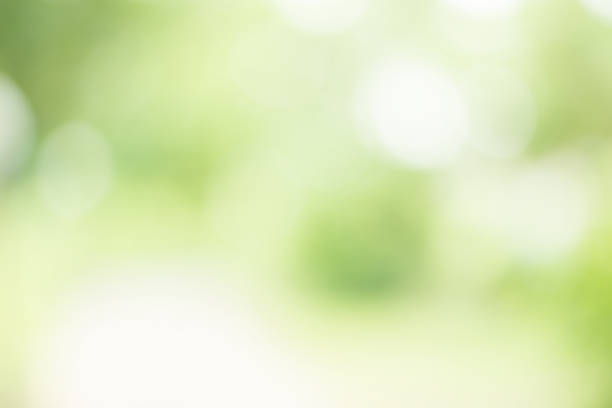 istock abstract blur green color for background,blurred and defocused effect spring concept for design 985875718