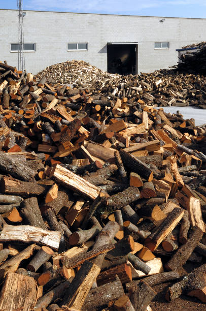 istock an outside firewood industry 985883260