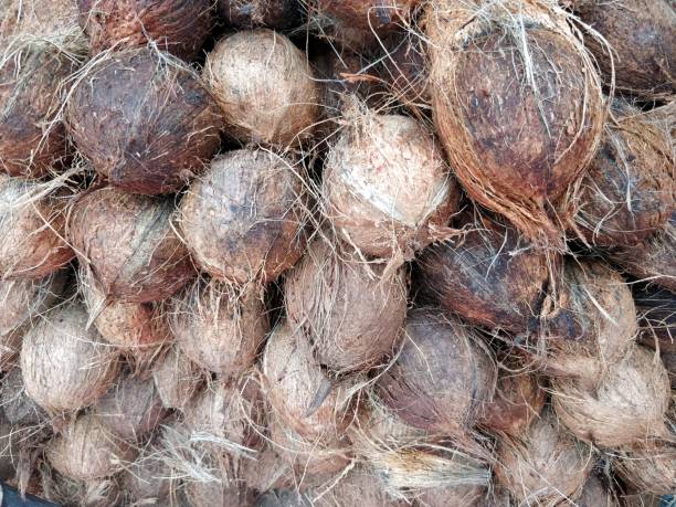 istock Coconut for sale at market 985884674