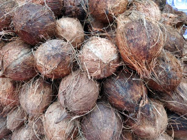 istock Coconut for sale at market 985884804
