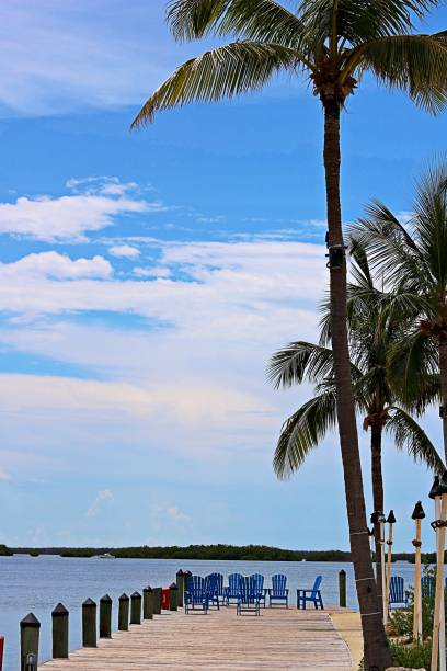 istock Florida Tropical Day adventure 985885386
