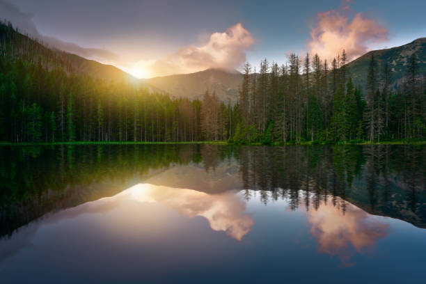istock Sunrise at Smreczynski pond in the forest. 985885548