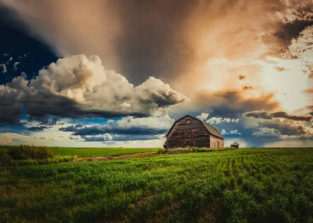 Photo of Abandoned Farm Yards in a Field in Spring After a Rain on the Prairies