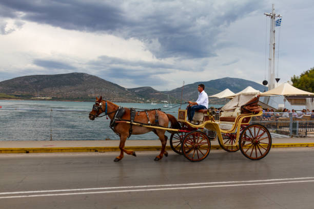 brązowy koń zaprzęgnięty powozu na ulicach starożytnego miasta chalcis w grecji. - chalkis zdjęcia i obrazy z banku zdjęć