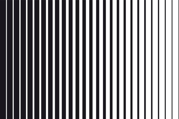fekete-fehér párhuzamos függőleges vonalak absztrakt gradiens háttere - egyetlen vonal témájú stock illusztrációk