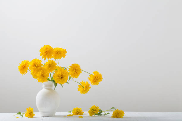 istock yellow flowers in vase on white background 985919030