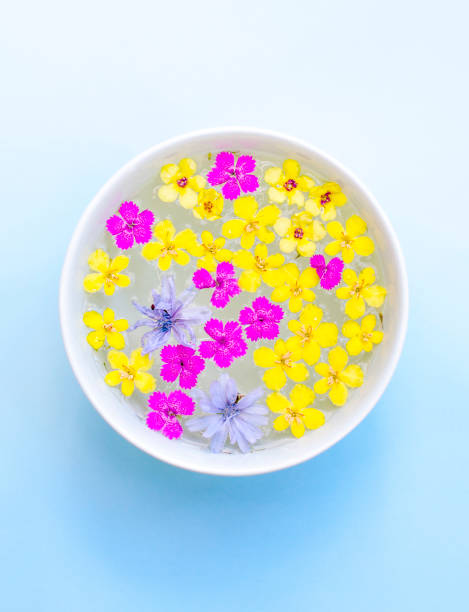 istock Fresh flowers in a bowl background 985924568