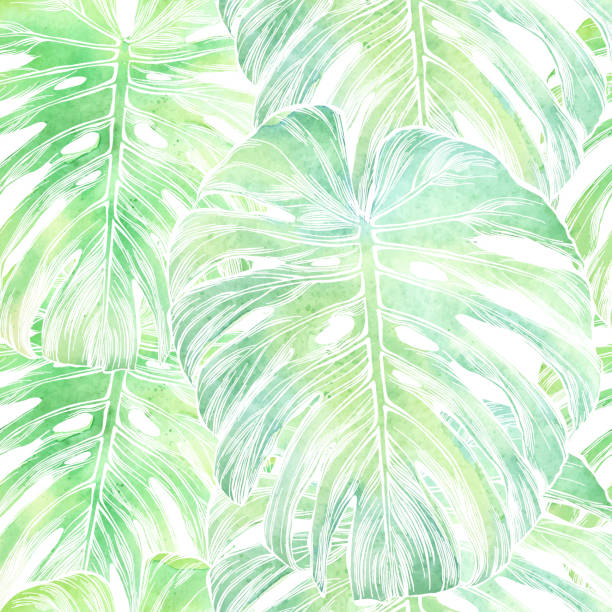 вектор philodendron лист бесшовные шаблон в акварели изолированы на белом - backgrounds tropical climate repetition pattern stock illustrations