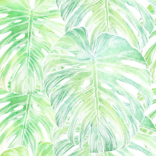 Vector illustration of Vector Philodendron Leaf Seamless Pattern in Watercolor Isolated on White