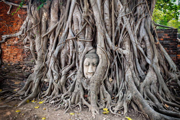 istock Ayutthaya Historical Park, Ayutthaya, Thailand. 985943922