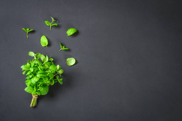 istock Fresh homemade green peppermint on a gray dark concrete table. top view 985946692