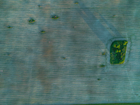 beautiful  geometry of fields green and brown photo from height
