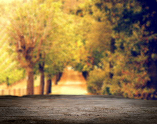 istock Wood table top on shiny bokeh abstract background 985960838