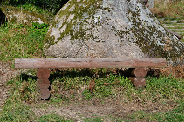 istock wooden bench in a natural park 985992296
