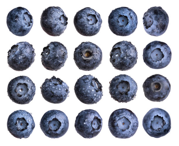 Big set of fresh blueberry with water drops isolated on white background