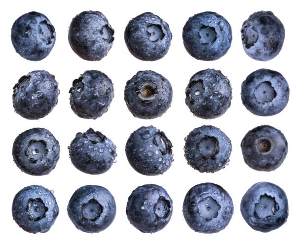 Big set of fresh blueberry with water drops isolated on white background Big set of fresh blueberry with water drops isolated on white background. bilberry fruit stock pictures, royalty-free photos & images