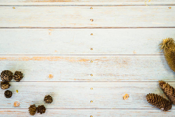 istock nature dry plant seed on wood background 985999766