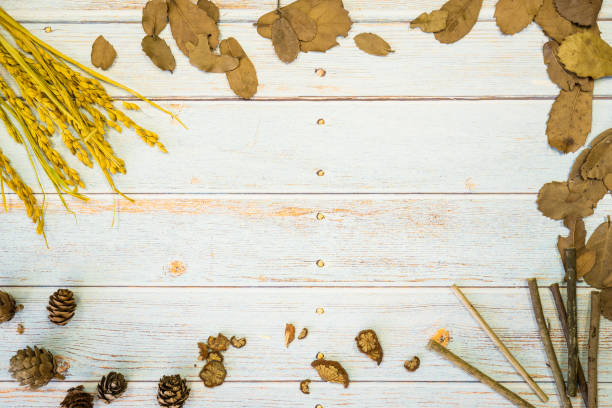 istock nature dry plant seed on wood background 985999768