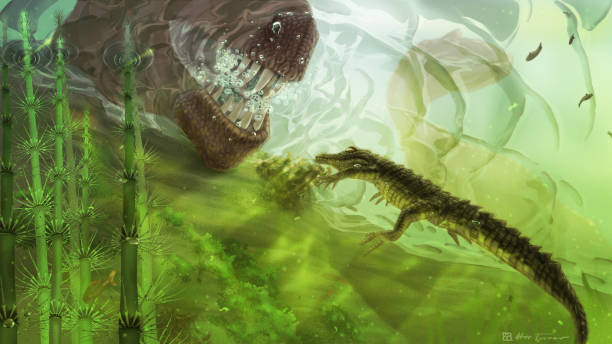 istock Late Cretaceous Isle of Wight, UK 986000180