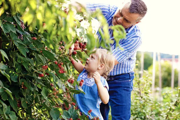 Photo of Enjoying Garden