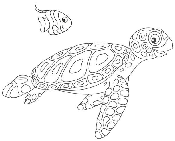 Sea turtle and butterflyfish Funny loggerhead and a small striped butterfly fish swimming together, black and white vector illustration in a cartoon style for a coloring book sea turtle clipart stock illustrations