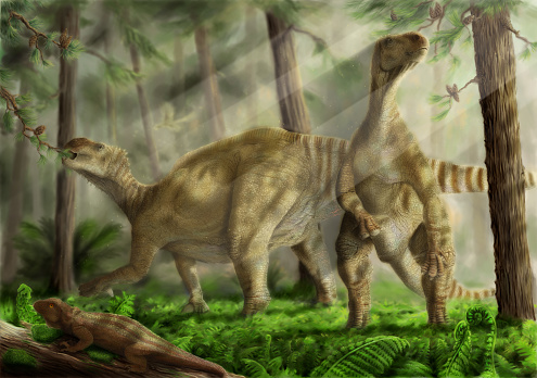Illustration depicting Iguanodon bernissartensis (Early cretaceous, Belgium), with Ardeosaurus brevipes in foreground