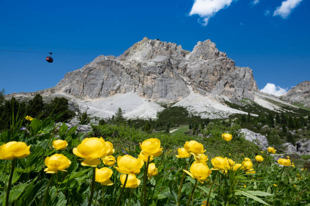 Alpine mountain peak in Italy Alps, Seceda Odle