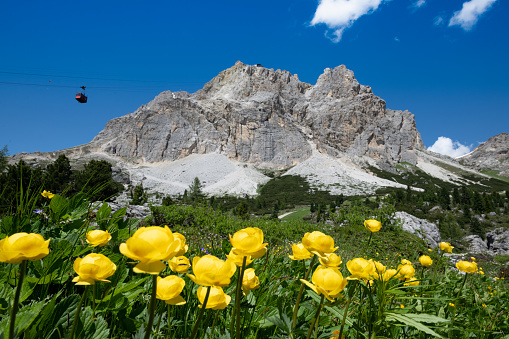 Alpine mountain peak in Italy Alps, Seceda Odle