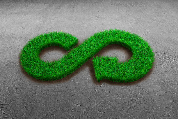 istock ECO and circular economy concept. 986039992