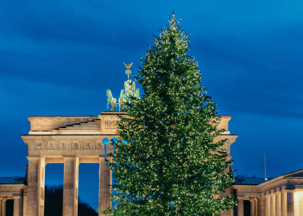 istock Brandenburg Gate Building of Berlin night 986048144