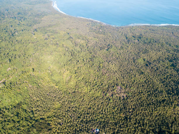 istock Tropical island landscape (from above) 986052150