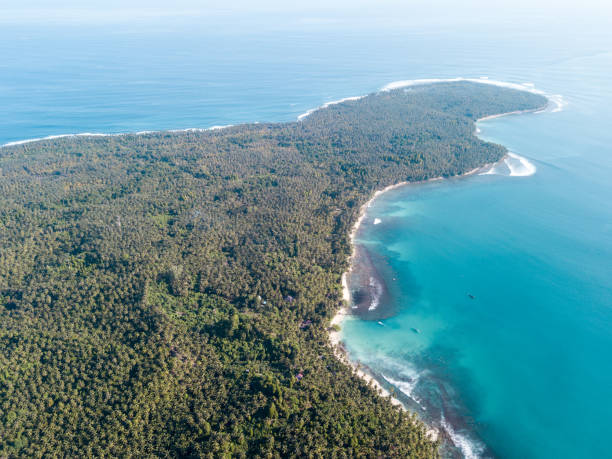 península cubierta con bosque de palmeras tropicales (desde arriba) - mentawai islands rural scene sumatra indonesia fotografías e imágenes de stock