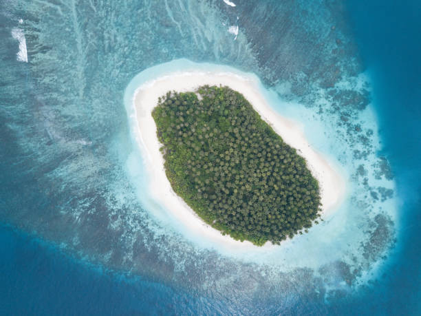 istock Perfect tropical island 986052394