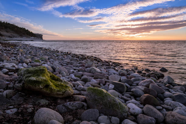 istock Stones at the beach with green moss on 986055386