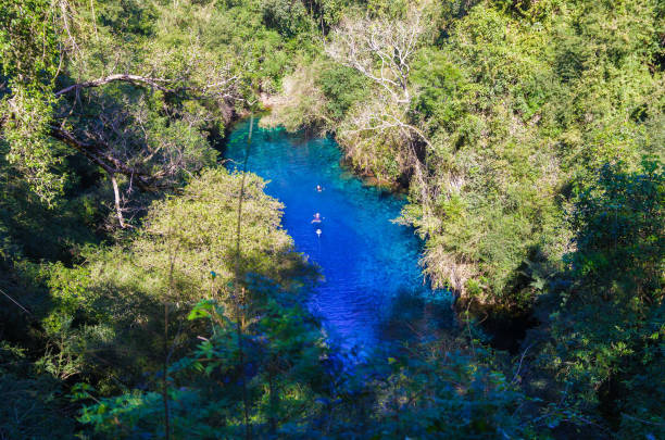 Lagoon mysterious, beautiful lagoon of transparent waters of turquoise blue Bonito, Brazil - June 19, 2018: Lagoon mysterious, beautiful lagoon of transparent waters of turquoise blue, located in the city of Bonito, Mato Grosso do Sul, Brazil bonito brazil stock pictures, royalty-free photos & images
