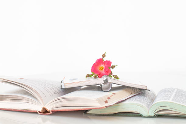 istock Open books prepare for read with flowers. 986055746