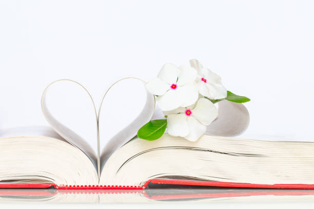 istock Pages of a book made into a heart shape and white flowers. 986055840