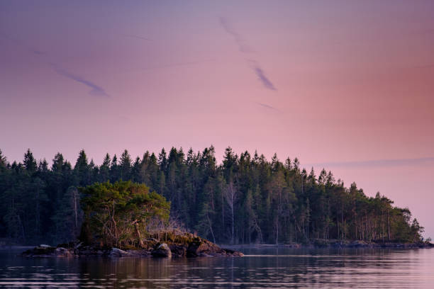 istock A small island with trees and a forest in the background 986056192
